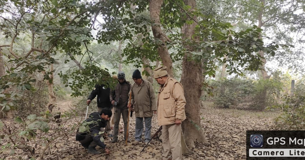 tiger footprints found in lucknow rehman kheda but no location