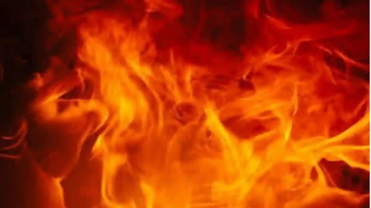 Fire Accident In Madhya Pradesh