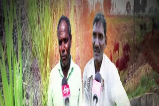 Irrigation_Water_Problems_for_Guntur_Farmers