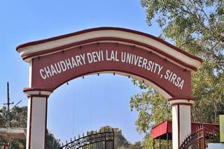 CDLU Sirsa Girl Student Sexual Harassment Case