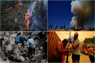 Chile Wildfires Death Toll