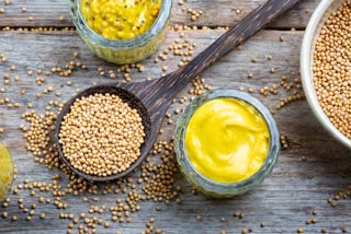 Mustard Sauce News