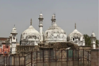 Gianavapi Masjid Case