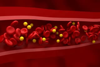 Hemoglobin Level News