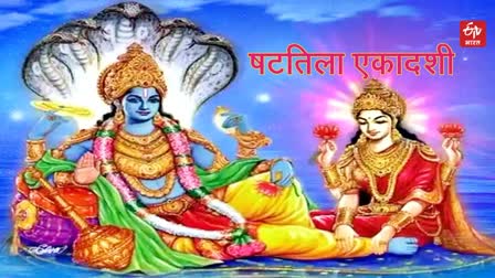 Shattila ekadashi vrat katha , significance of shattila ekadashi   6 february 2024 panchang