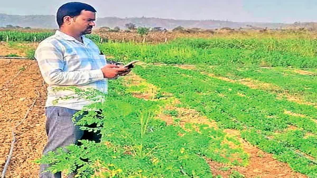 Crop Survey In Telangana