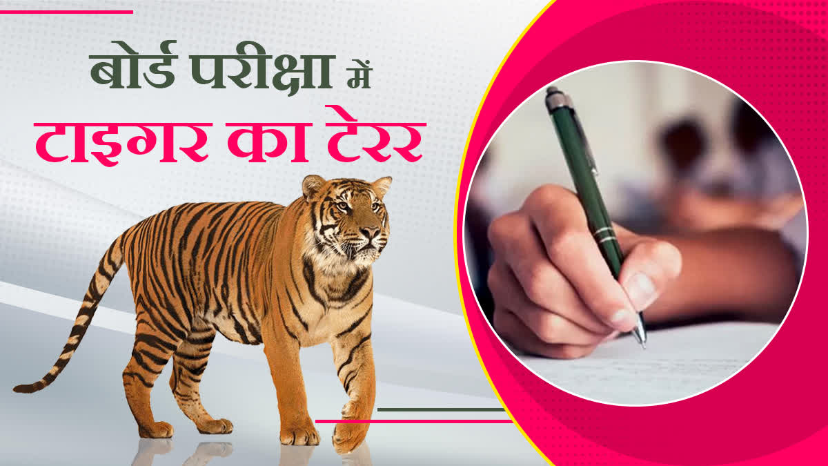 LUCKNOW TIGER TERROR UPMSP CENTERS BOARD EXAM LATEST NEWS.