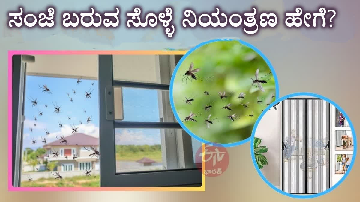 best-ways-to-keep-mosquitoes-away-from-home