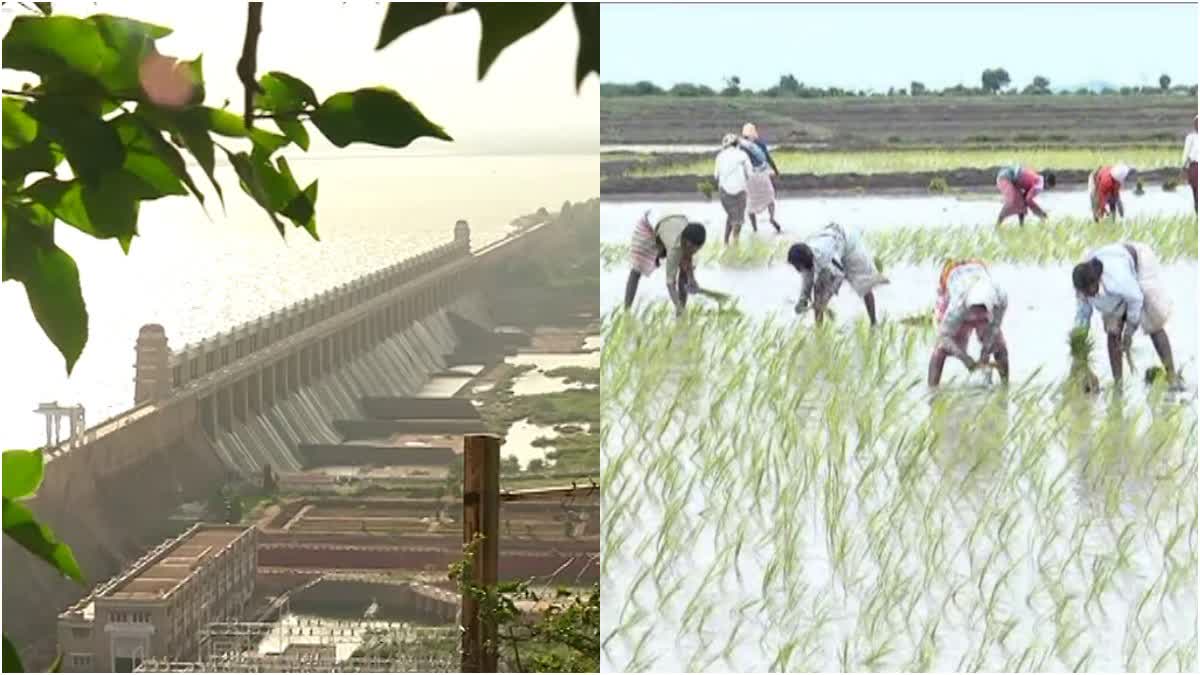 ತುಂಗಭದ್ರಾ ಜಲಾಶಯ,TB dam