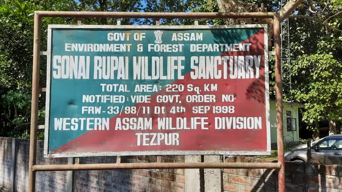 Sonai Rupai Wildlife sanctuary