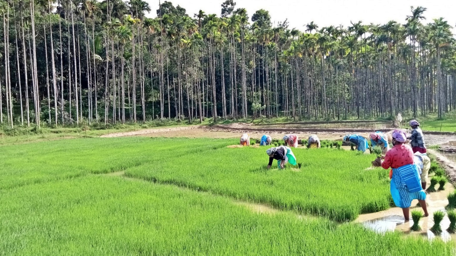 TOURIST DESTINATIONS PALAKKAD  TOURIST SPOT PALAKKAD  പാലക്കാട് ടൂറിസം  പാലക്കാട് കണ്ടിരിക്കേണ്ട സ്ഥലങ്ങള്‍