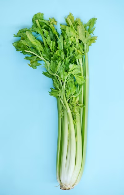 Celery