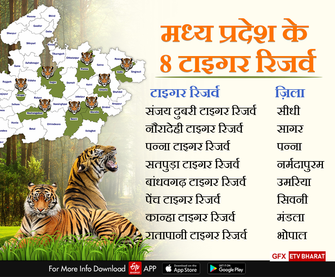 MADHAV 9TH TIGER RESERVE OF MP