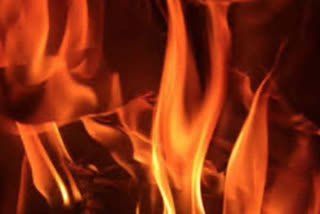 A woman was killed while two others sustained burn injuries after a fire broke out at an illegal firecracker factory being run from a house at Chaudharianwala village in Naushehra Panuan of Tarn Taran district