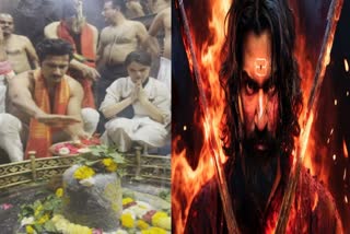 vicky kaushal divine blessings at grisneshwar temple ahead of chhava release