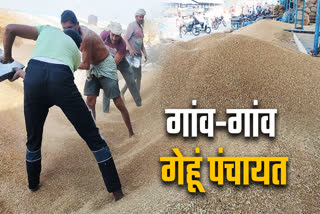 MADHYA PRADESH WHEAT MSP CAMPAIGN