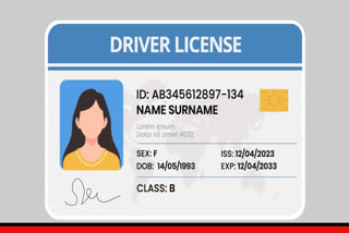 DRIVING LICENSE