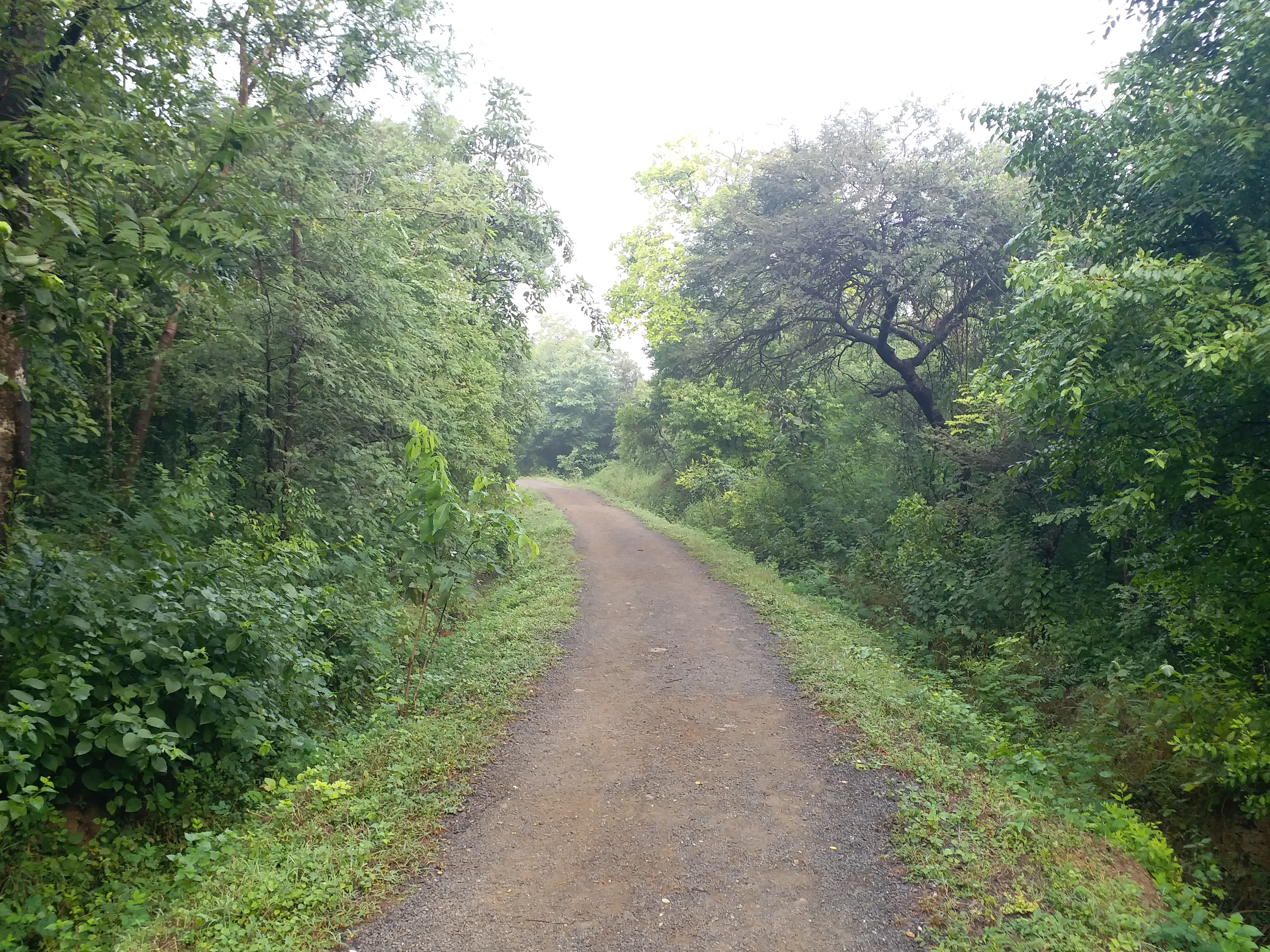 Madhav Tiger Reserve SHIVPURI