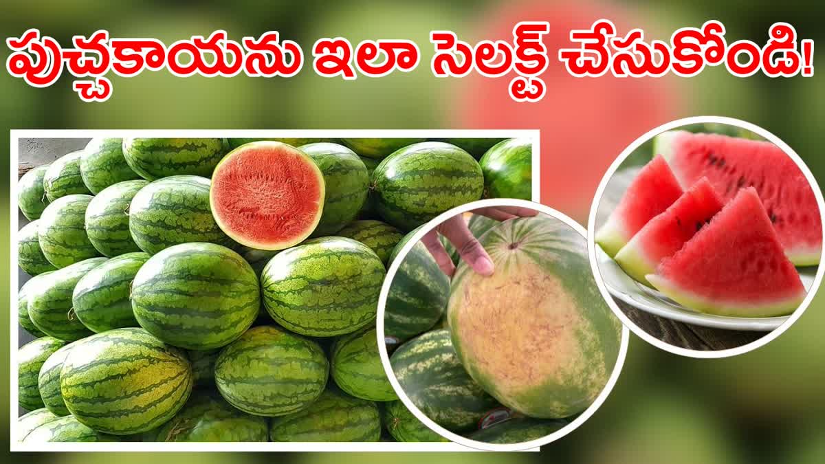 How to Identify Best Watermelon