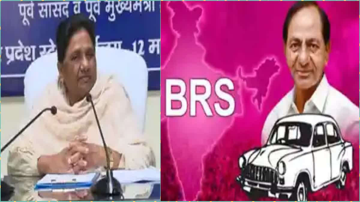 BRS BSP alliance for the Lok Sabha elections: KCR announces