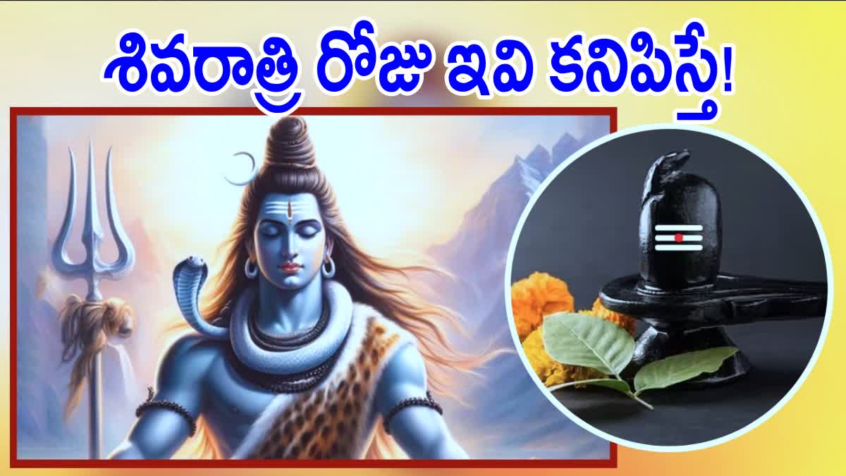 Good Signs on Maha Shivaratri