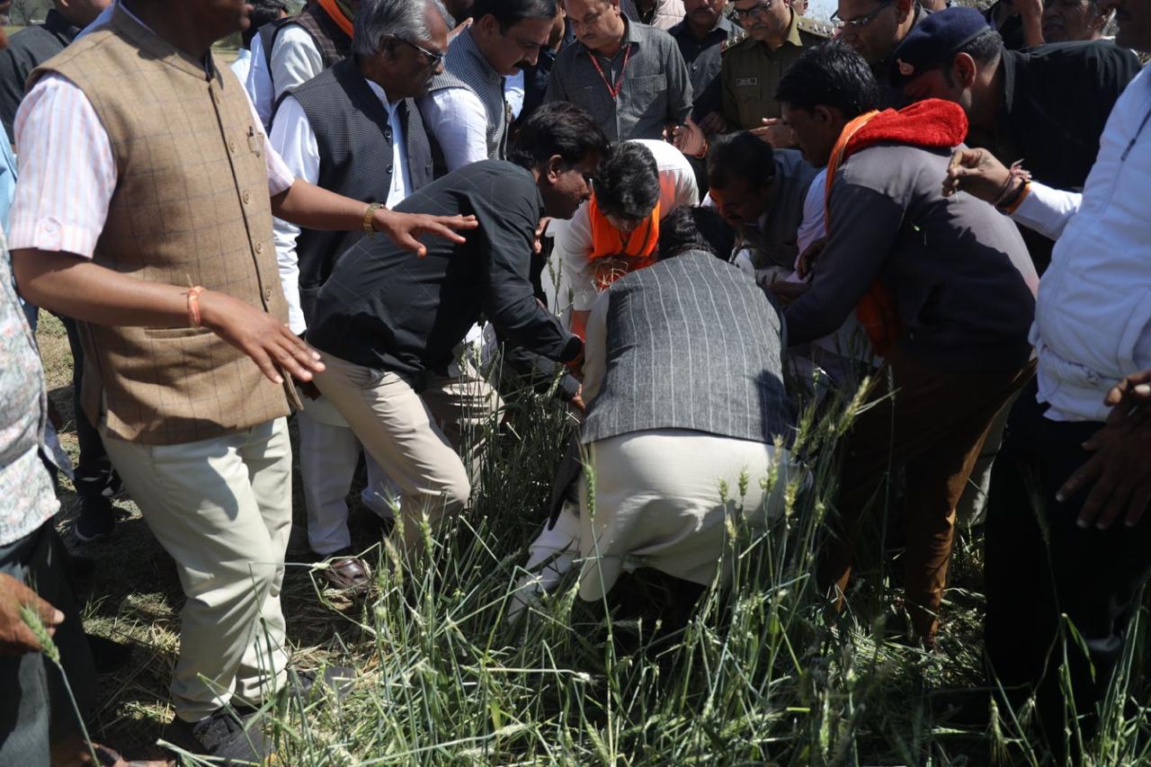 hailstorm damaged crops in Guna