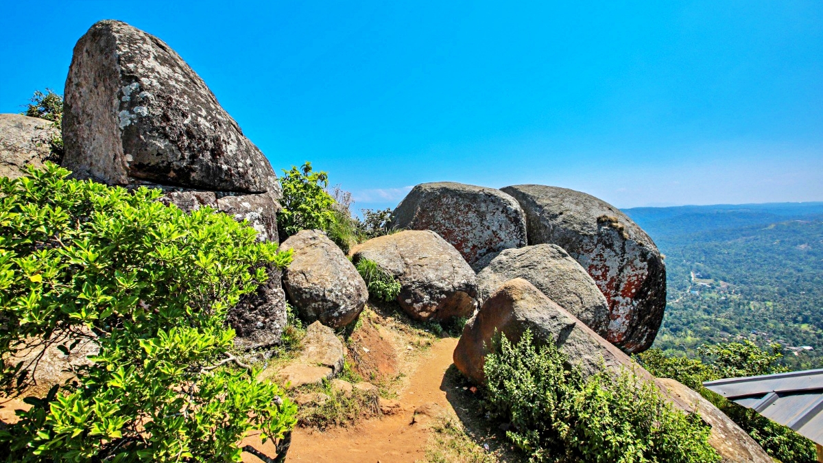 ആമപ്പാറ ഇക്കോ ടൂറിസം പദ്ധതി  ആമപ്പാറ  Idukki  Idukki Tourism  ഇടുക്കി