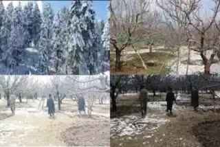 After the snowfall, the weather is likely to be pleasant in Kashmir from March 12