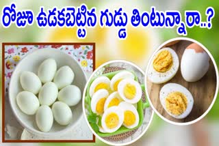 Eating Boiled Eggs Everyday Benefits