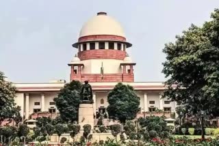 SC agrees to examine WB govt plea against HC order handing over TMC leader Shajahan Sheikh