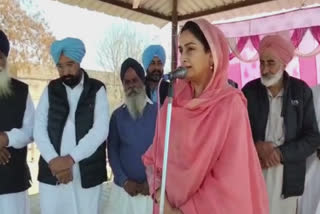 Hasimrat Kaur Badal criticized CM Punjabs vocabulary in the Vidhan Sabha