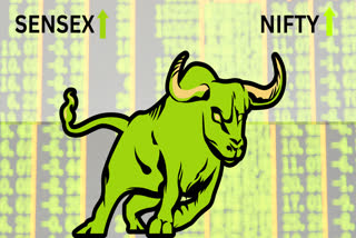 Stock Market