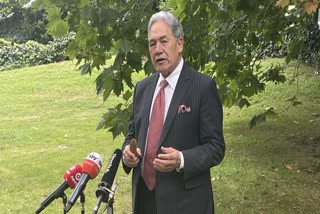 New Zealand Foreign Minister Winston Peters