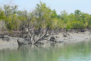 4 হাজার 100 কোটির অনুমোদন রাজ্যের মন্ত্রিসভার