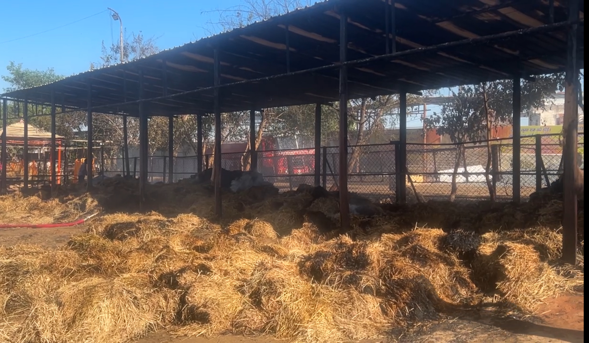 Gwalior Adarsh Gaushala Fire