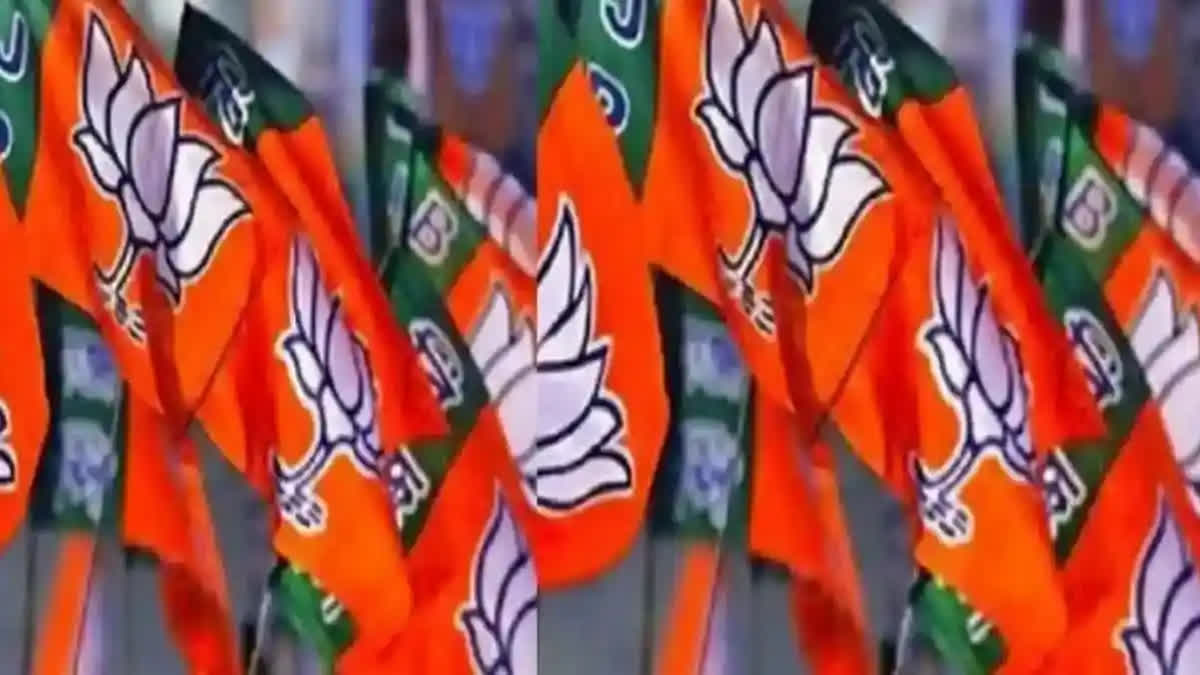 BJP Foundation Day: A Tale of Its Struggle to Get From 2 to 303 Seats in Last 4 Decades