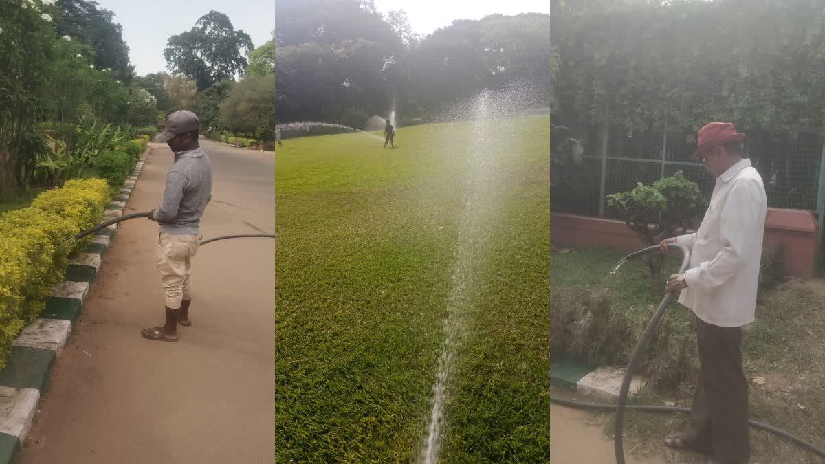 lalbagh cubbon park