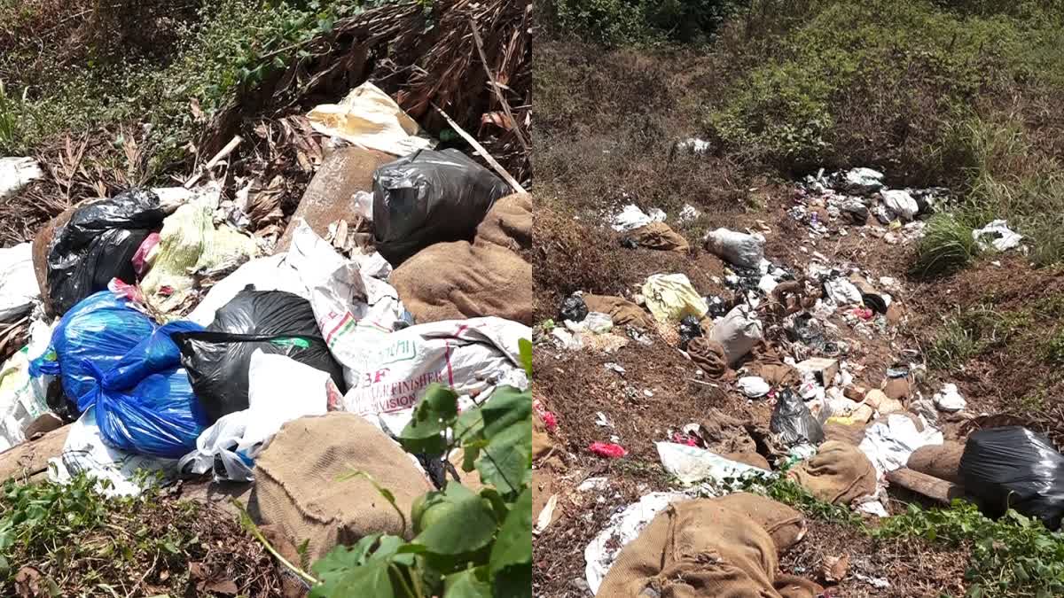 WASTE DISPOSAL  ROAD SIDE ACCUMULATION OF GARBAGE  WASTE DISPOSAL AT ROAD SIDE  മാലിന്യ നിക്ഷേപം