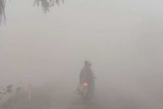 fogg at kanksa