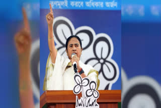 NIA Officials Attacked Villagers in Bengal, Not Other Way Round: CM Mamata