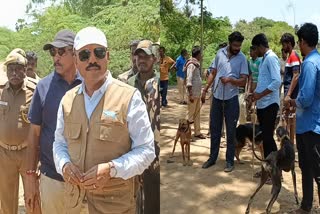 Leopard Movement In Mayiladuthurai