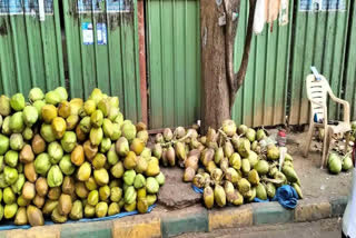 The Silicon City is reeling under a drinking water crisis in Bengaluru and adding to the woes of denizens they have been deprived of fresh tender coconuts during the scorching sun. With the heat rising day by day, people are resorting to tender coconuts to quench their thirst.
