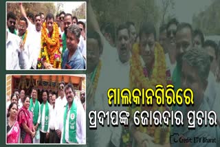 Pradeep Majhi started campaigning