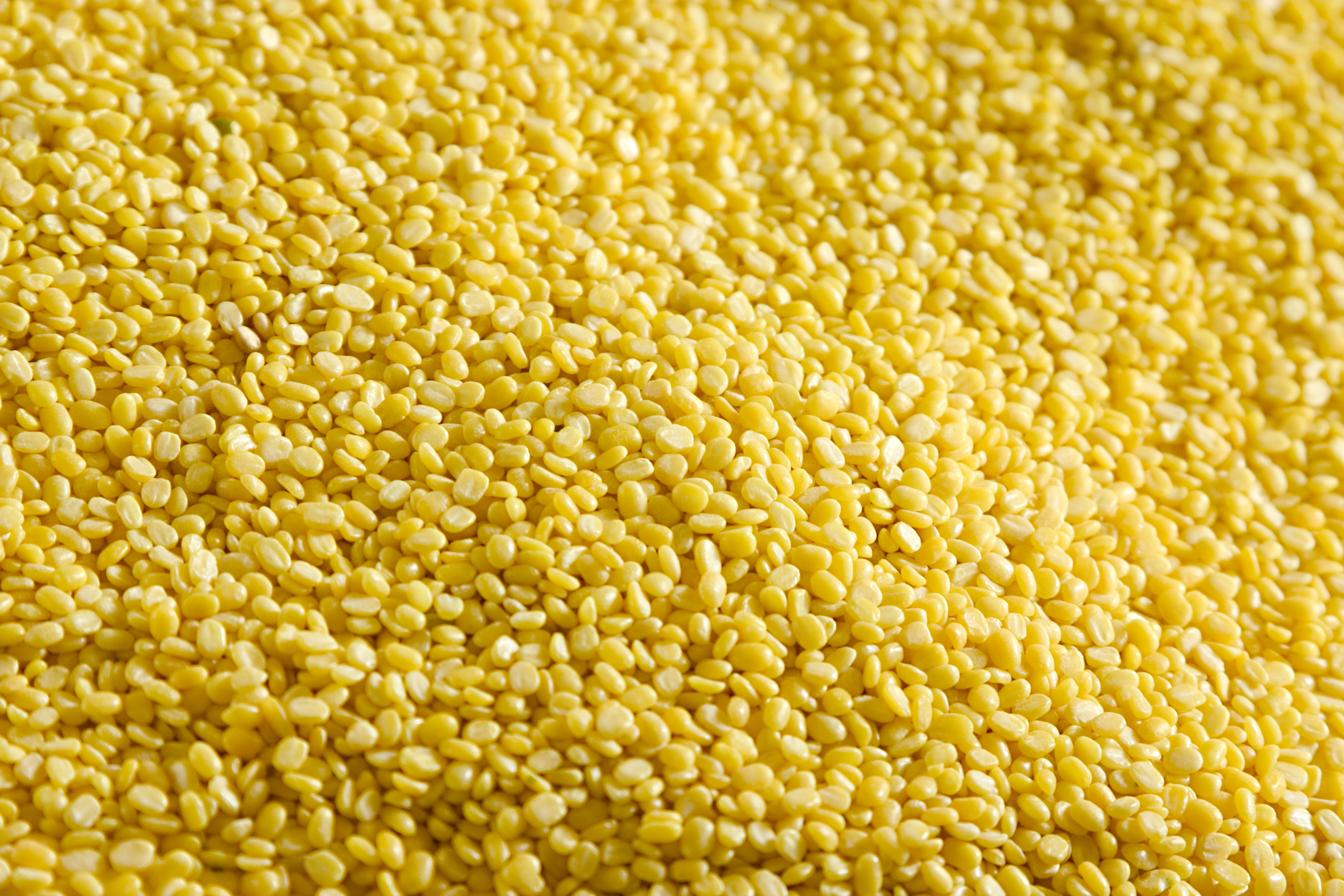 Moong Dal