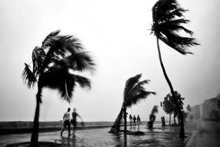 KERALA WEATHER UPDATES  KERALA RAIN UPDATE TODAY  കേരളം മഴ മുന്നറിയിപ്പ്  KERALA CLIMATE TODAY