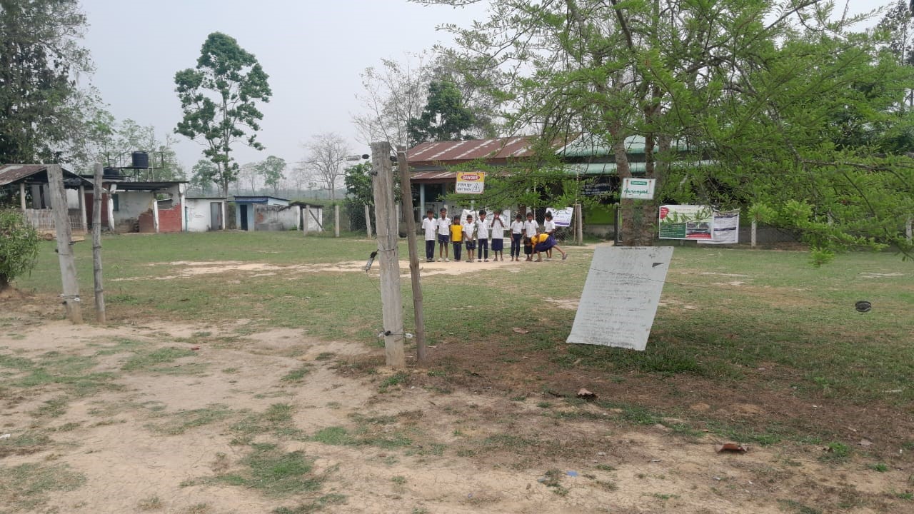 Solar fences keep elephants off Assam schools