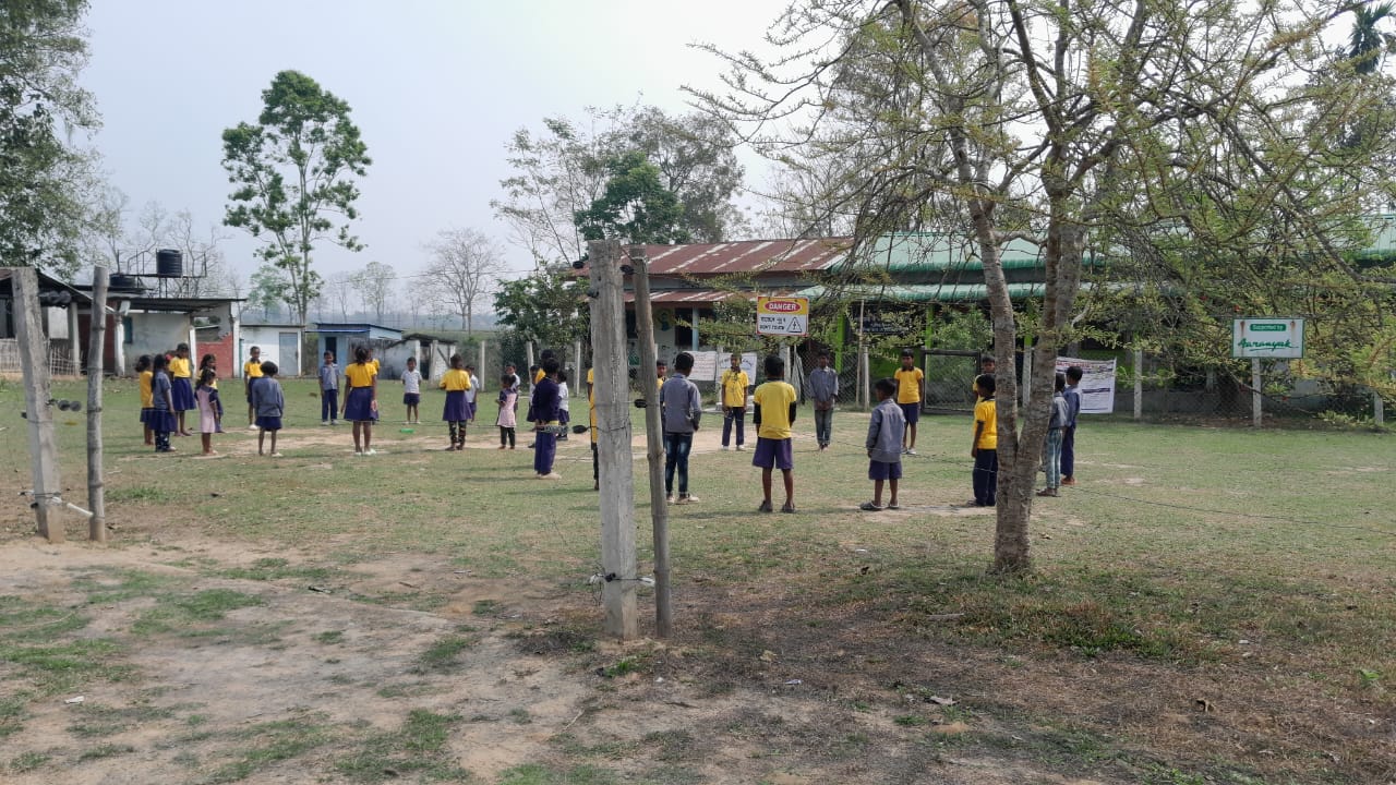 Solar fences keep elephants off Assam schools