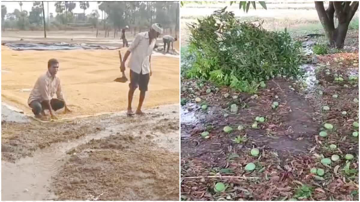 HEAVY RAINS IN TELANGANA