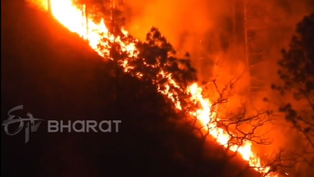 A view of a forest fire in Uttarakhand