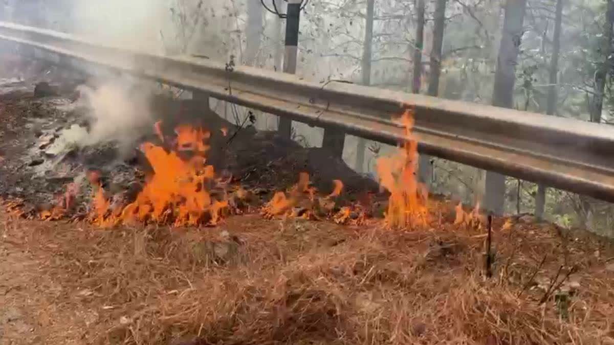 Uttarakhand Forest Fire